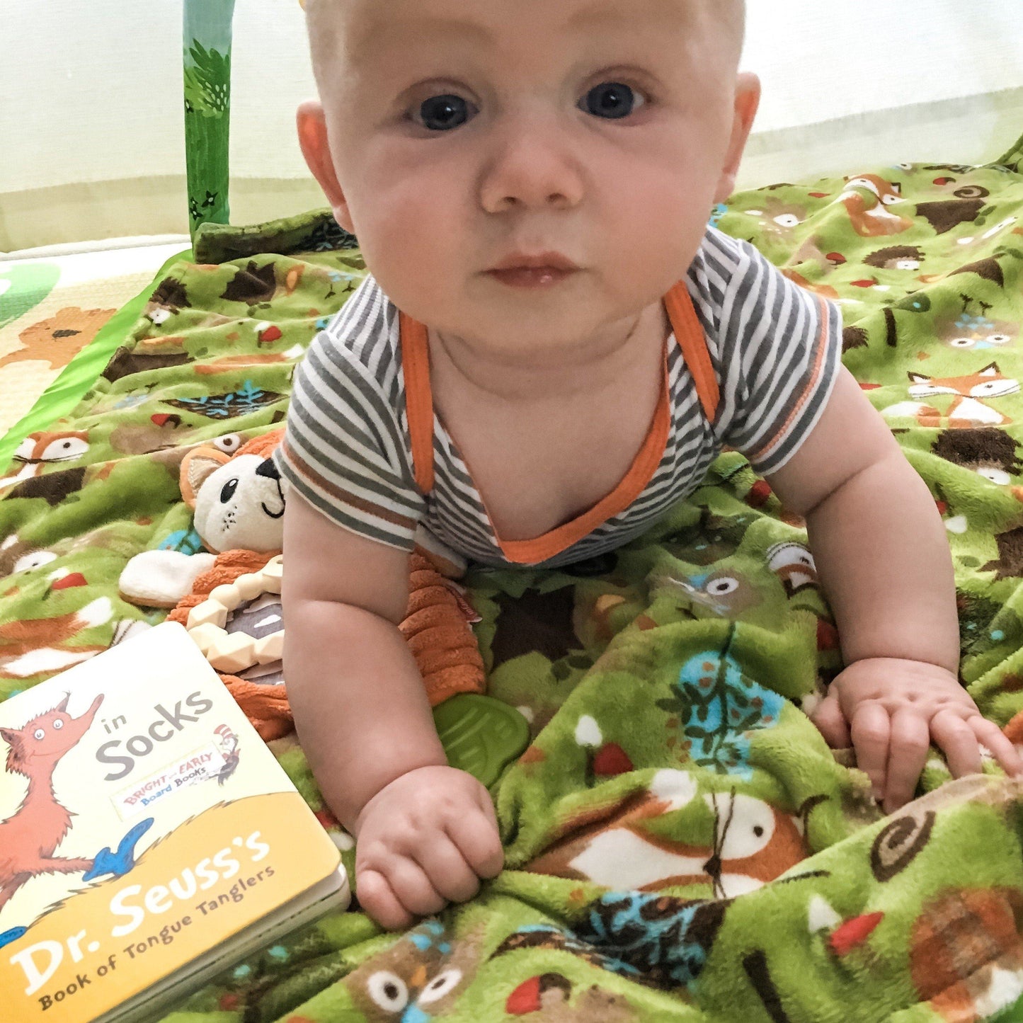Animals & Kids - Minky Fabrics Minky Blanket Harlow Baby Boutique